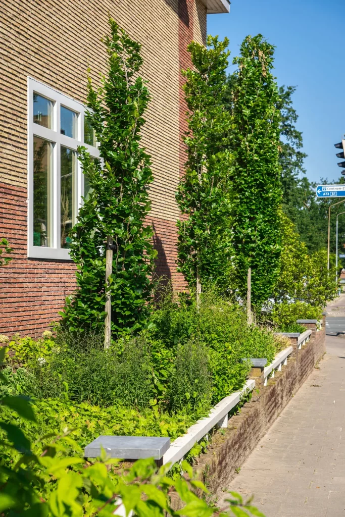 MediaMonkeyz_Van_Wijlick_Tuinen-026