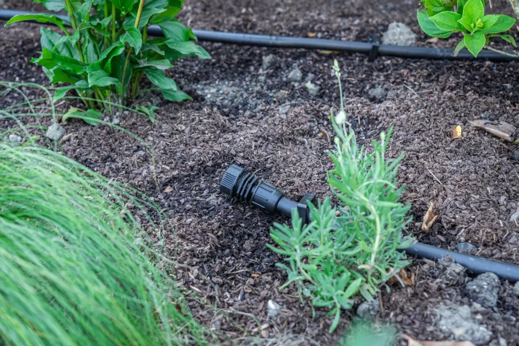 MediaMonkeyz_Van_Wijlick_Tuinen-031