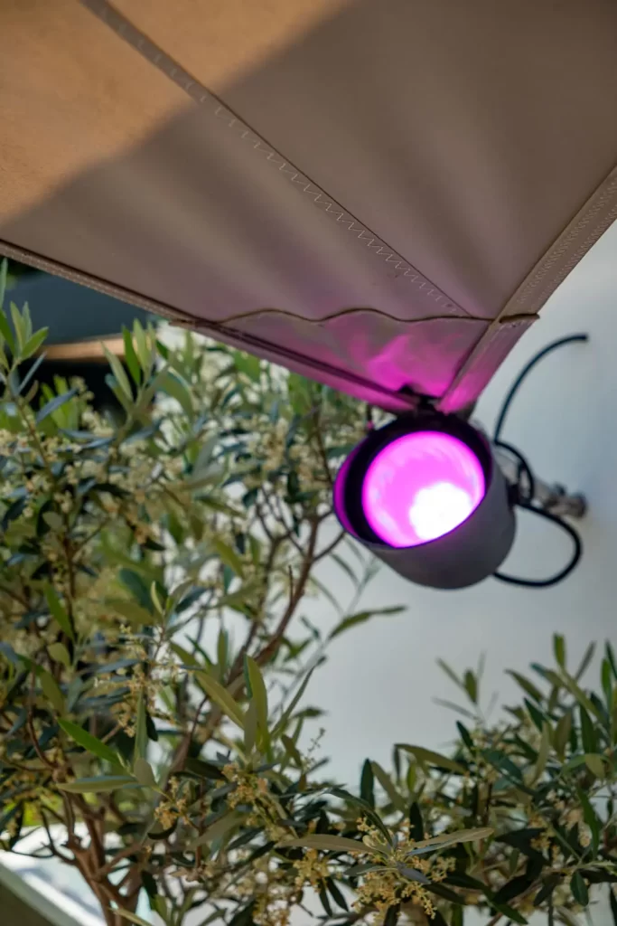 MediaMonkeyz_Van_Wijlick_Tuinen-079