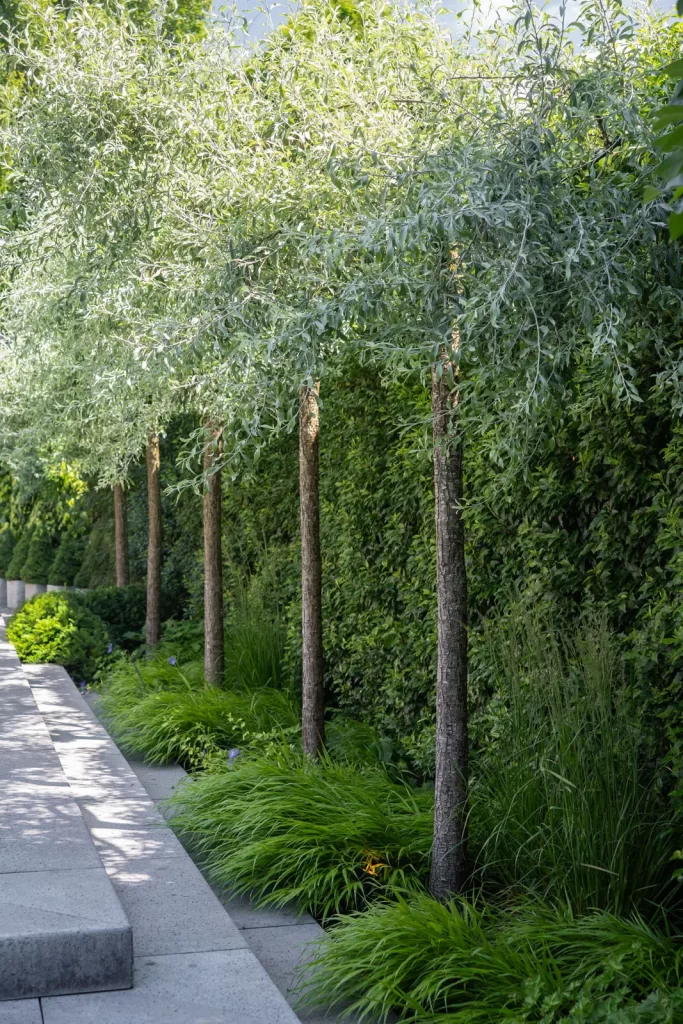 MediaMonkeyz_Van_Wijlick_Tuinen-082