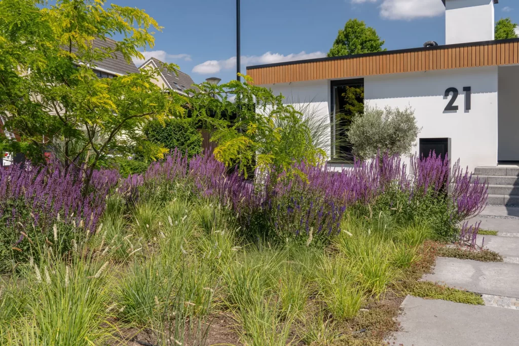 MediaMonkeyz_Van_Wijlick_Tuinen-089