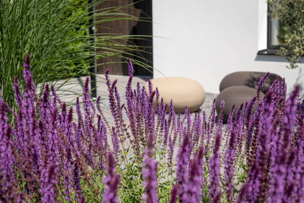 MediaMonkeyz_Van_Wijlick_Tuinen-090