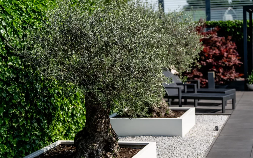 het_palet_tuinontwerpen097