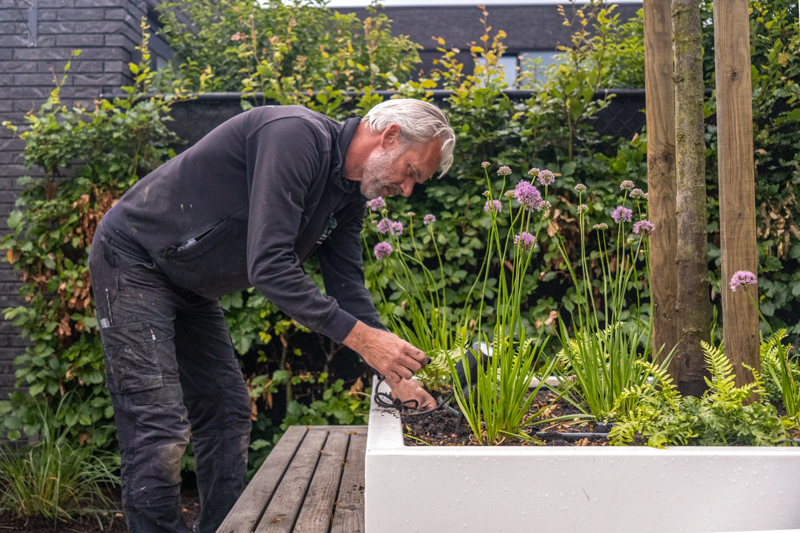 tuinonderhoud-venlo-van-wijlick-tuinen