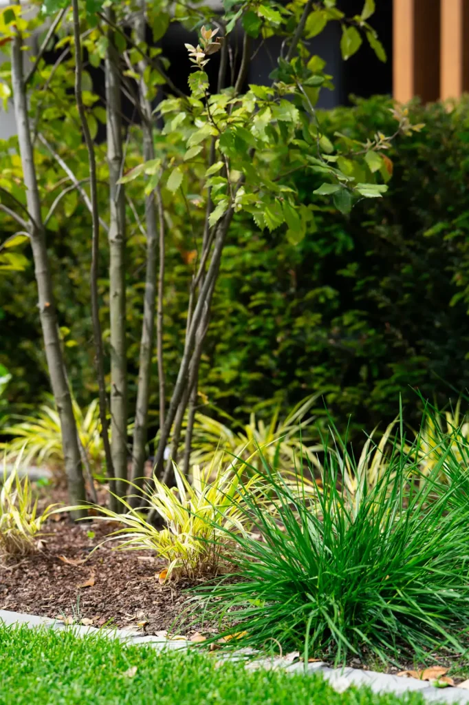 MediaMonkeyz_Van_Wijlick_Tuinen-288