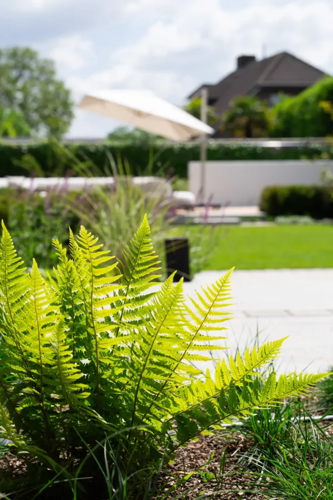 MediaMonkeyz_Van_Wijlick_Tuinen-293