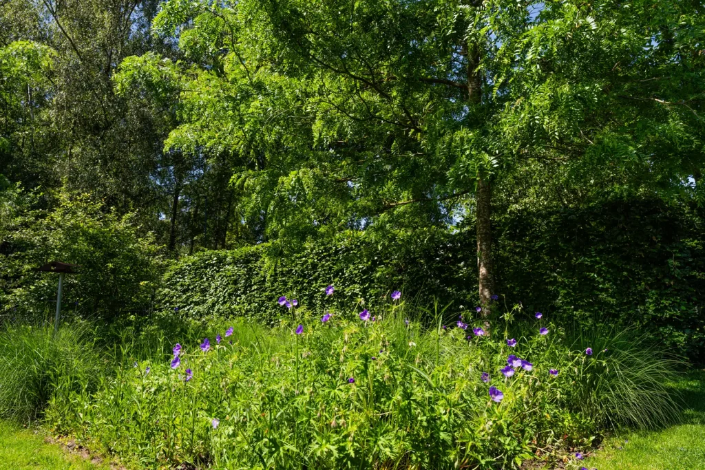 MediaMonkeyz_Van_Wijlick_Tuinen-442